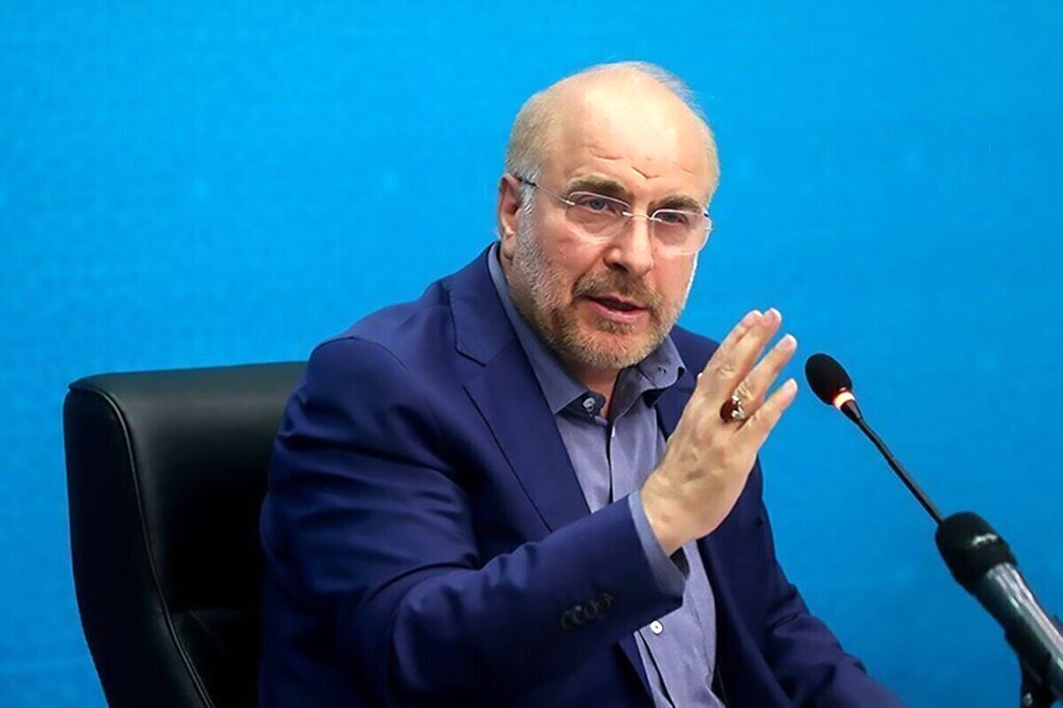 دکتر قالیباف: هرگز دنبال مچ گیری نیستیم