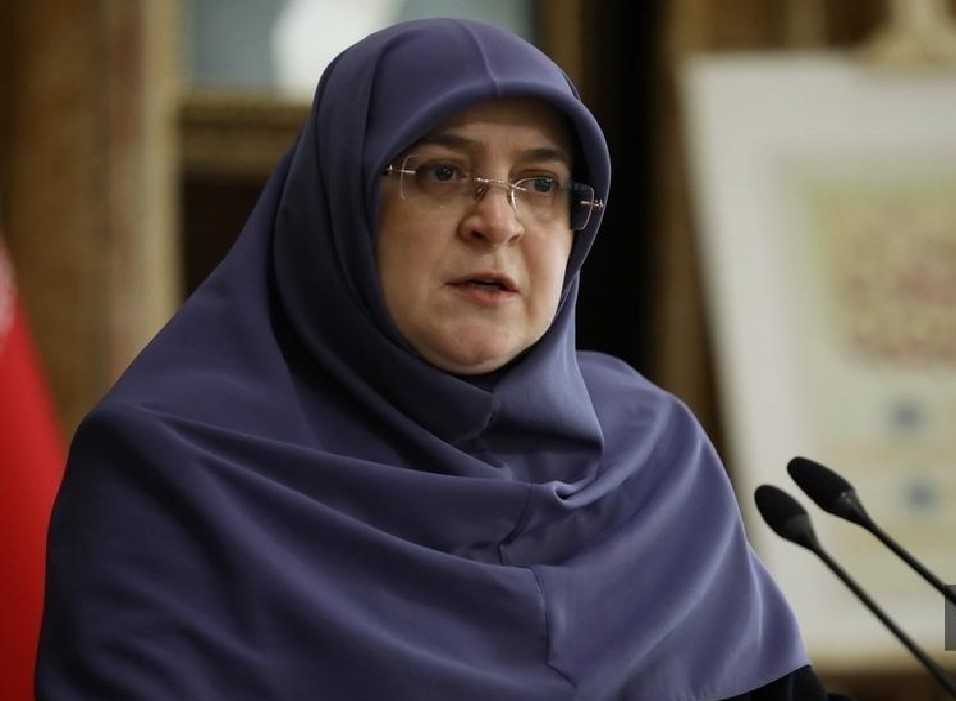 مهاجرانی: دولت در تلاش است فتنه دشمن را از ایران دور کند